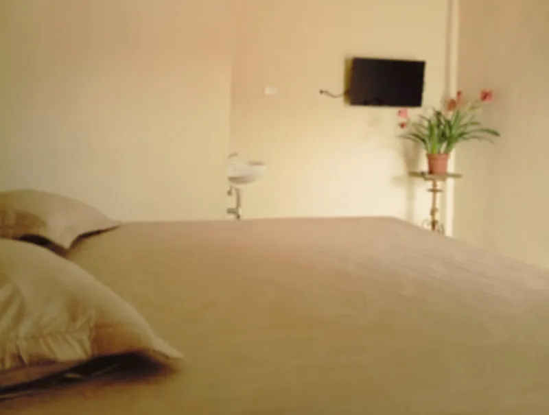 Standard Room Wisma Pandowo — queen bed, AC, TV